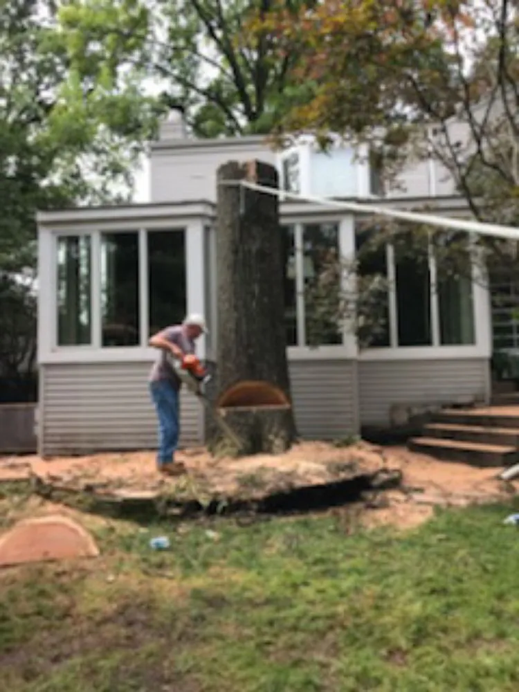 Professional landscape design in Ferguson, MO by Accurate Tree and Landscaping