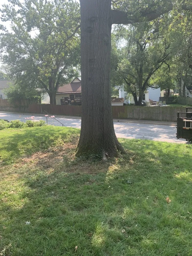 Local lawn care service for year-round maintenance across Ferguson, MO - Accurate Tree and Landscaping