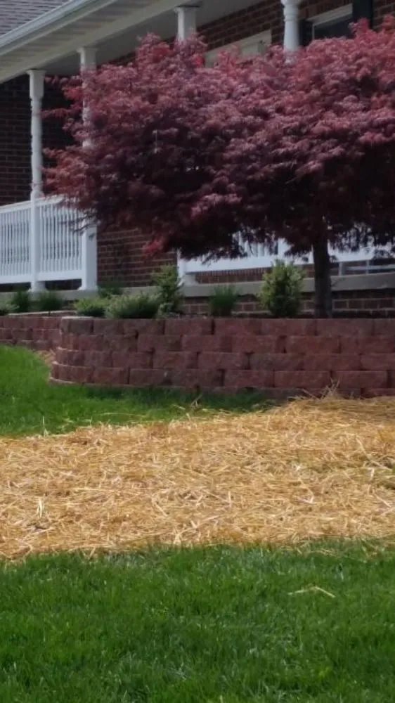 Top-rated yard cleanup service in Ferguson, MO by Accurate Tree and Landscaping