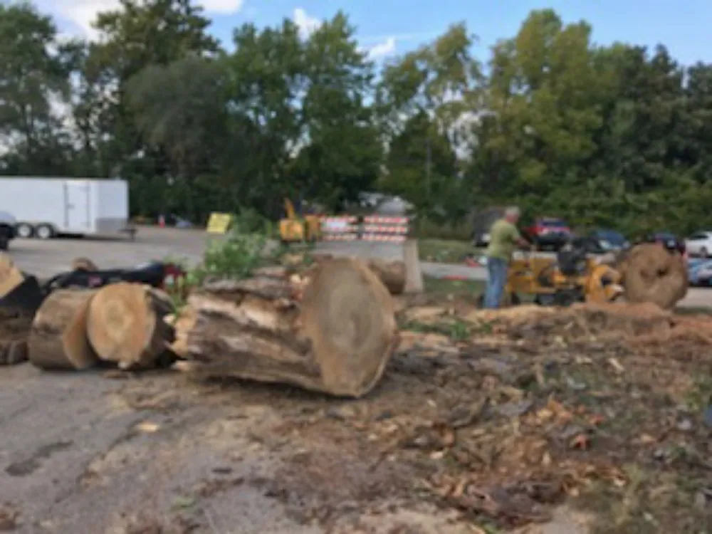 Top-rated lawn mowing service with custom design in Ferguson, MO by Accurate Tree and Landscaping