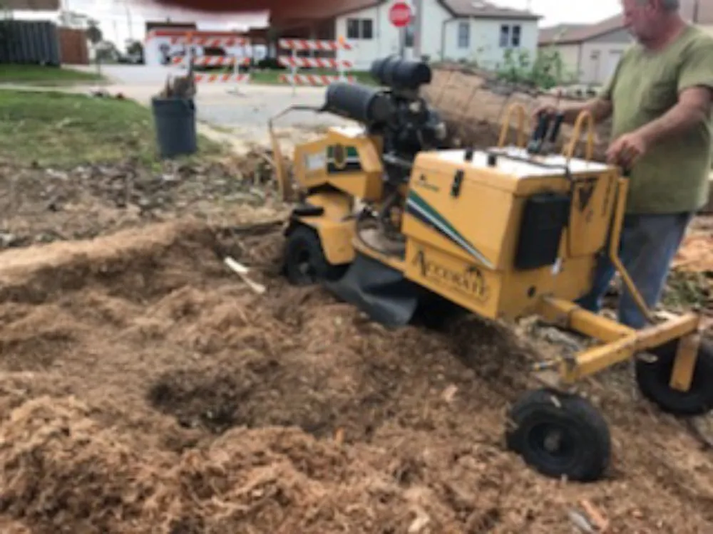 Local yard maintenance in Ferguson, MO - Accurate Tree and Landscaping