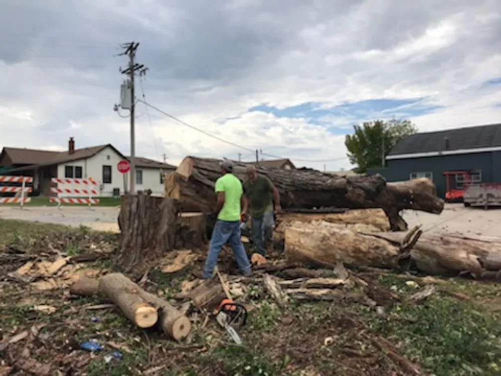 Reliable landscaping services for outdoor upgrades across Ferguson, MO - Accurate Tree and Landscaping