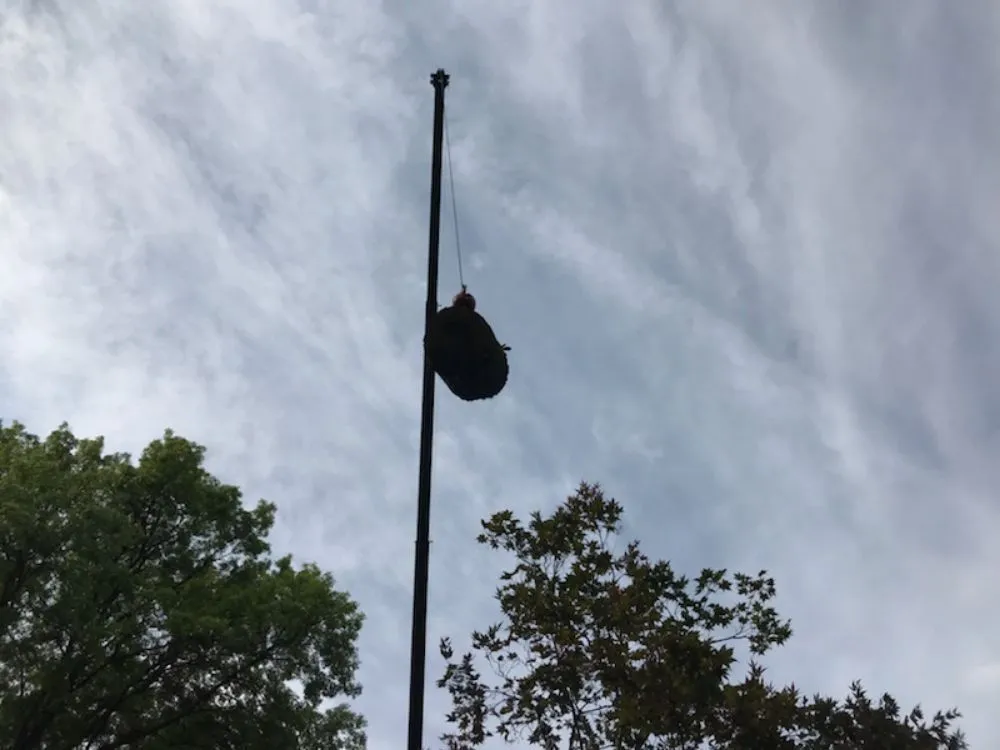 Reliable lawn care service near you across Ferguson, MO - Accurate Tree and Landscaping