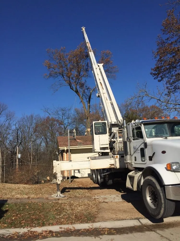 Local landscaping services for outdoor upgrades across Ferguson, MO - Accurate Tree and Landscaping