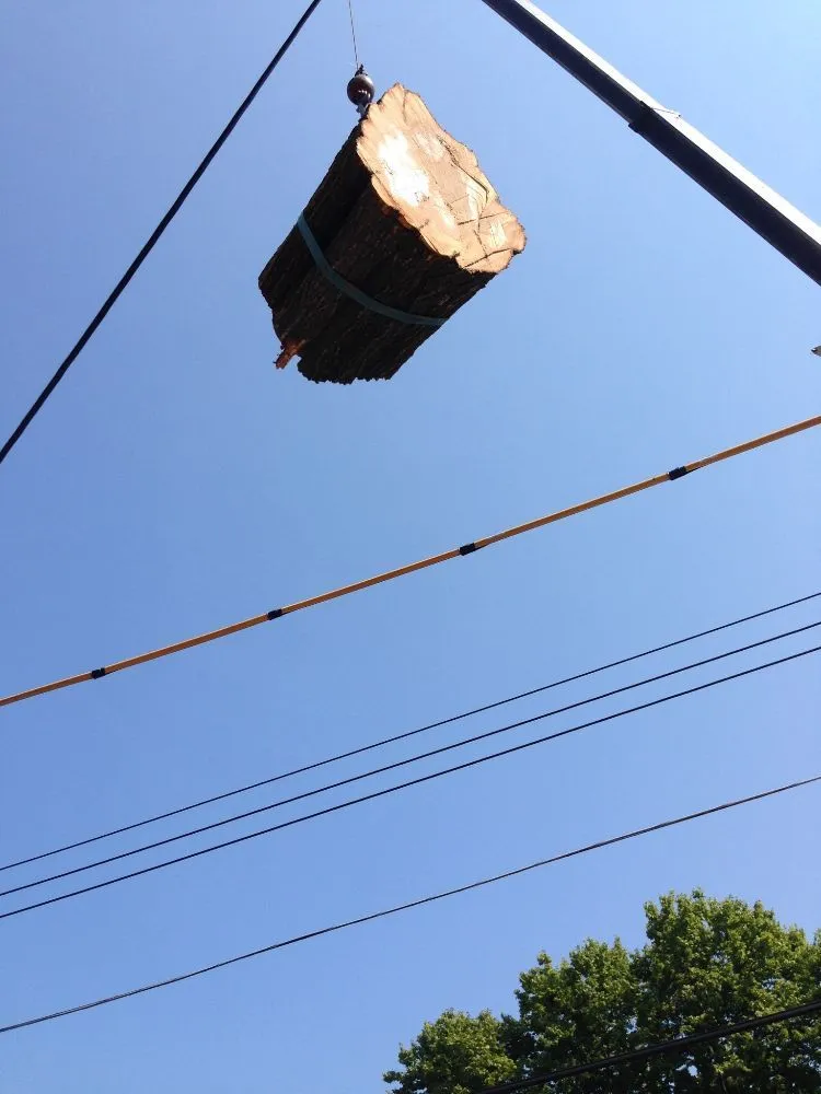 Top-rated landscape design in Ferguson, MO by Accurate Tree and Landscaping