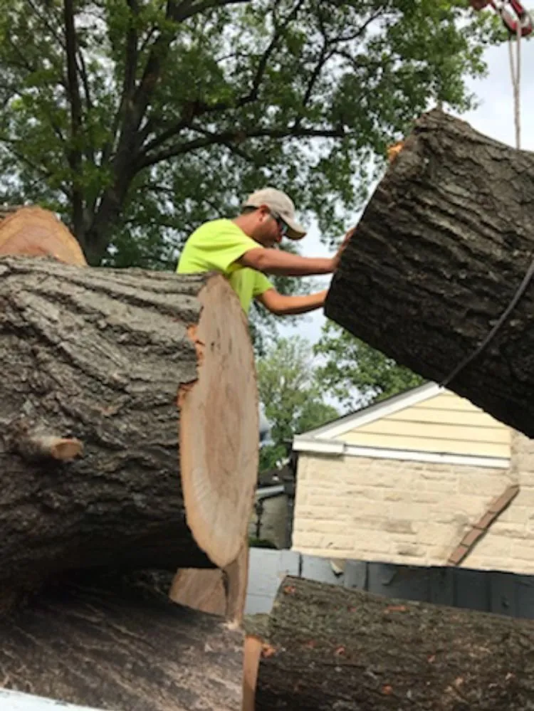 Affordable landscape design near you across Ferguson, MO - Accurate Tree and Landscaping