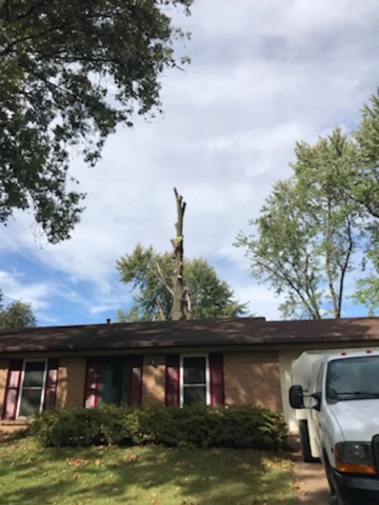 Trusted lawn mowing service for residential properties across Ferguson, MO - Accurate Tree and Landscaping