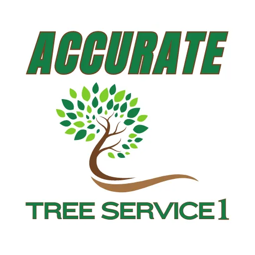 Affordable lawn mowing service in Clarksville, TN by Accurate Tree Service 1