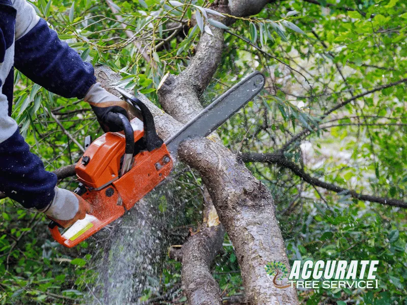 Local lawn mowing service experts serving Clarksville, TN - Accurate Tree Service 1