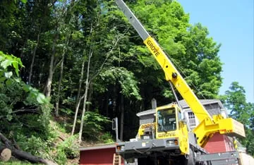 Affordable yard cleanup service in Hooksett, NH - Accurate Tree Service