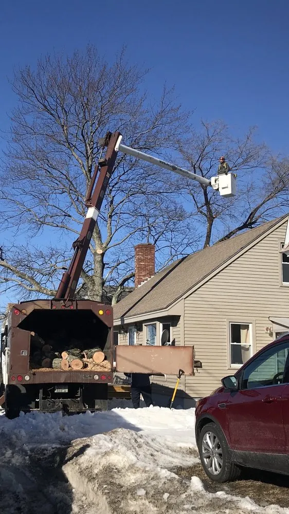 Professional landscaping services in Hooksett, NH by Accurate Tree Service