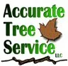Reliable yard maintenance in Hooksett, NH by Accurate Tree Service