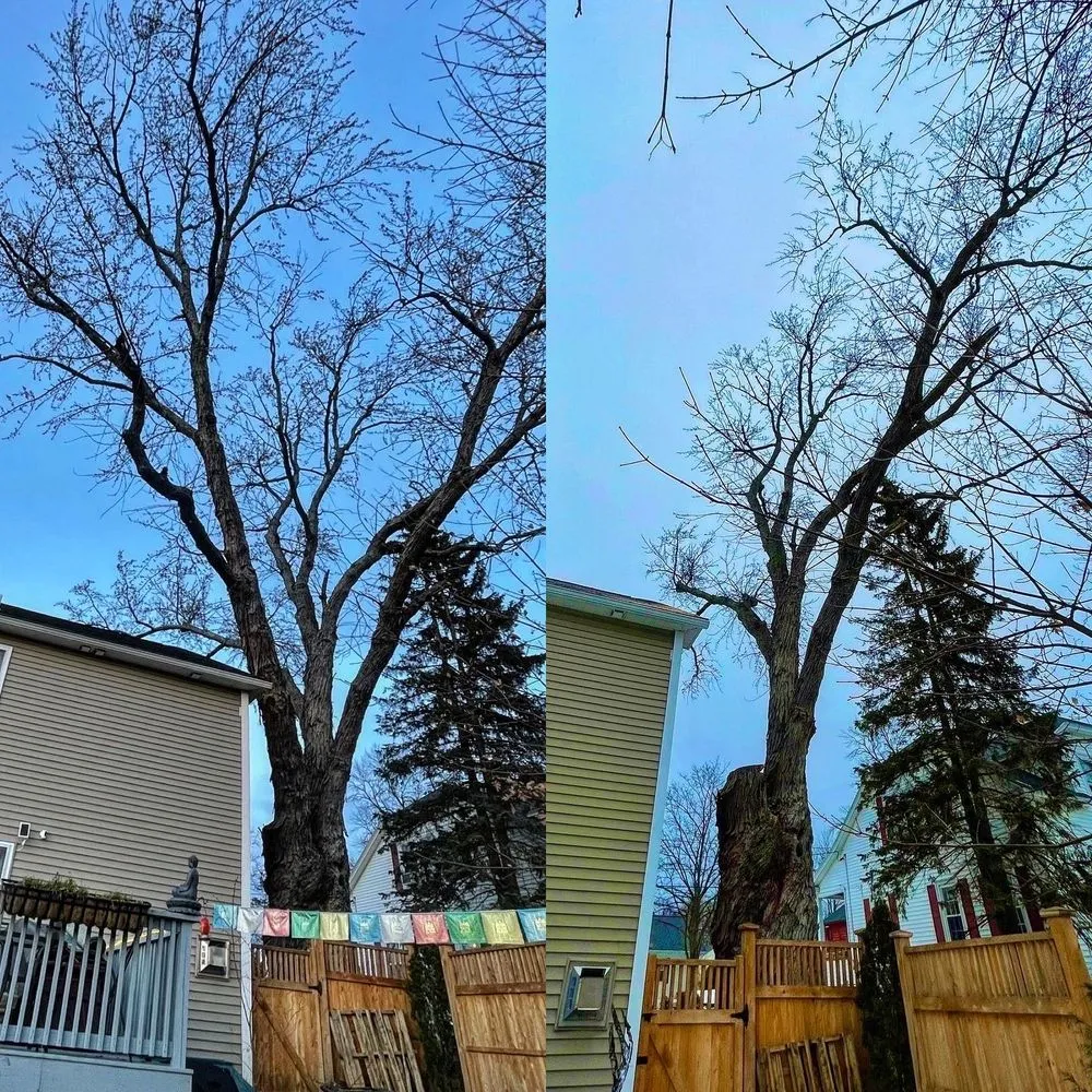 Custom garden landscaping in Hooksett, NH - Accurate Tree Service