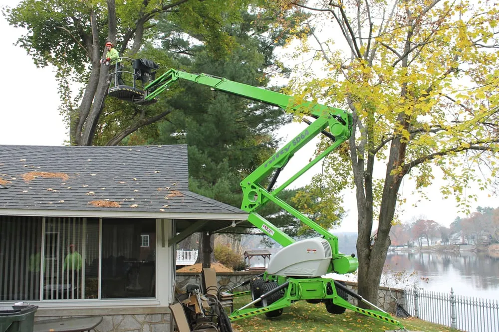 Affordable yard maintenance for homes in Hooksett, NH by Accurate Tree Service