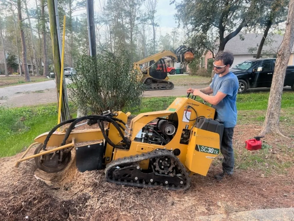 Affordable yard cleanup service experts serving Mandeville, LA - Accurate Tree Service