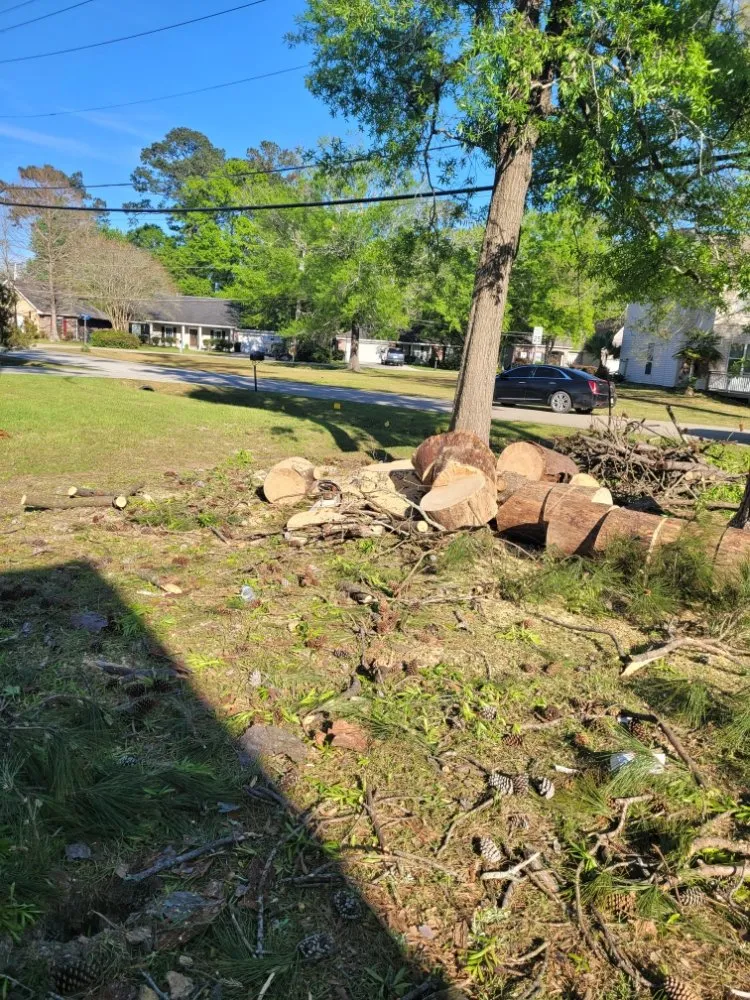 Local lawn mowing service in Mandeville, LA by Accurate Tree Service