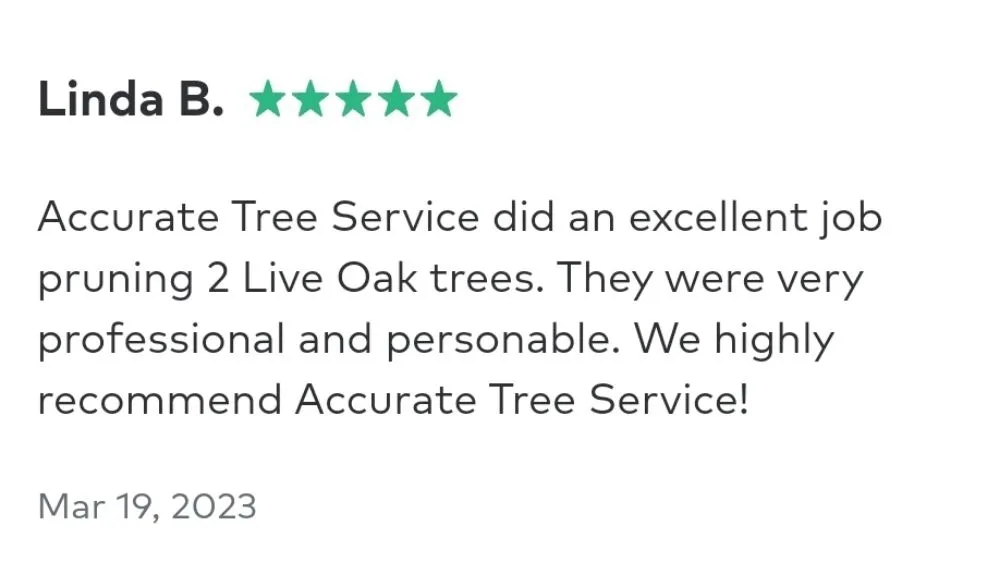 Professional landscape design experts serving Mandeville, LA - Accurate Tree Service