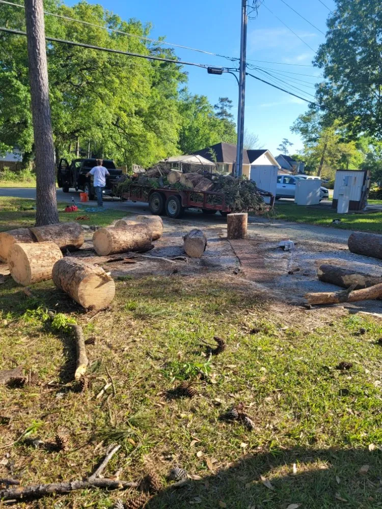 Expert landscaping services in Mandeville, LA - Accurate Tree Service