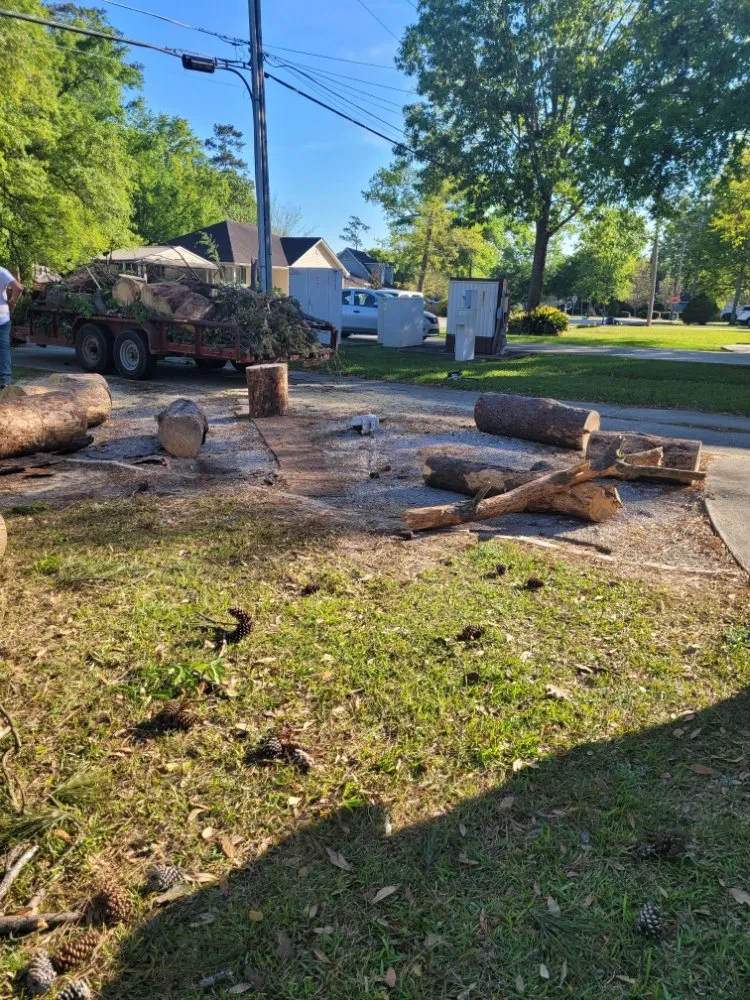 Affordable landscaping services for outdoor upgrades across Mandeville, LA - Accurate Tree Service