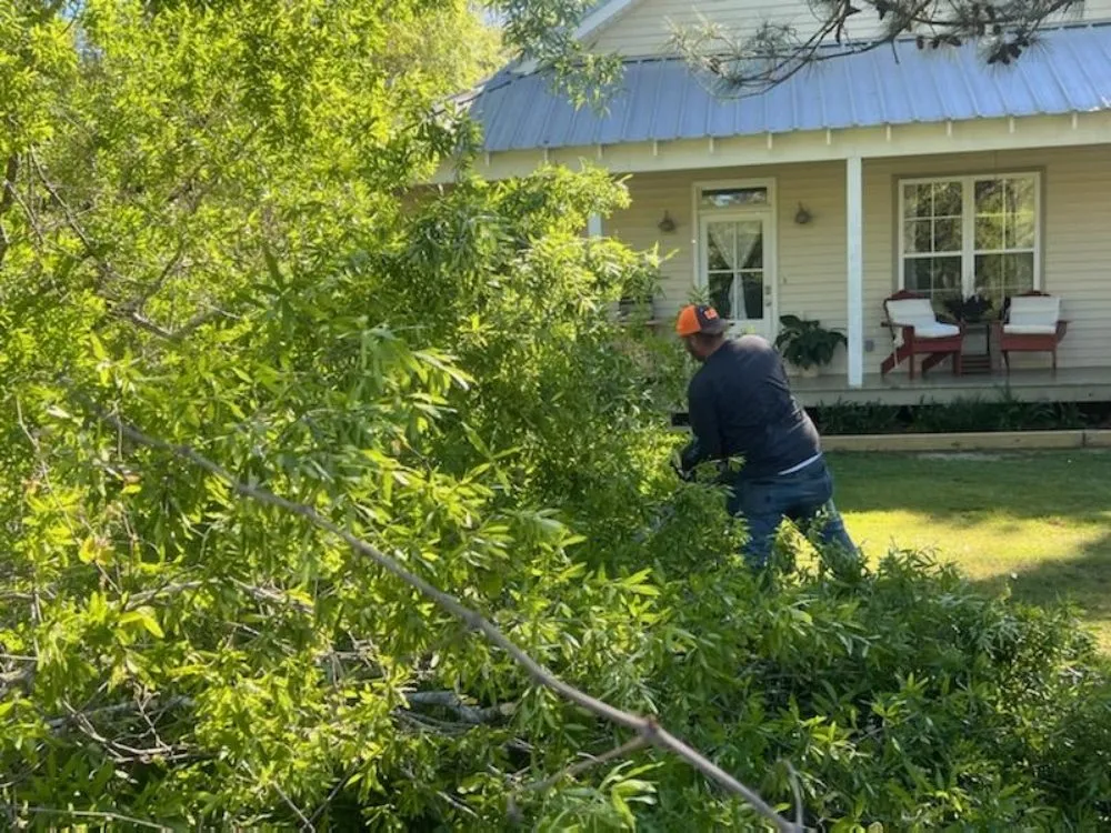 Custom garden landscaping in Mandeville, LA - Accurate Tree Service