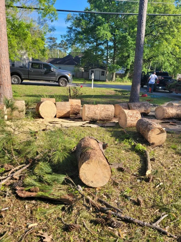 Custom landscape design in Mandeville, LA by Accurate Tree Service