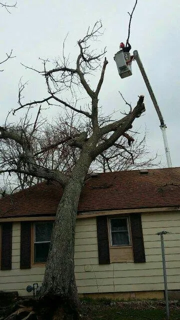 Professional landscape installation near you across Verona, WI - Accurate Tree Service