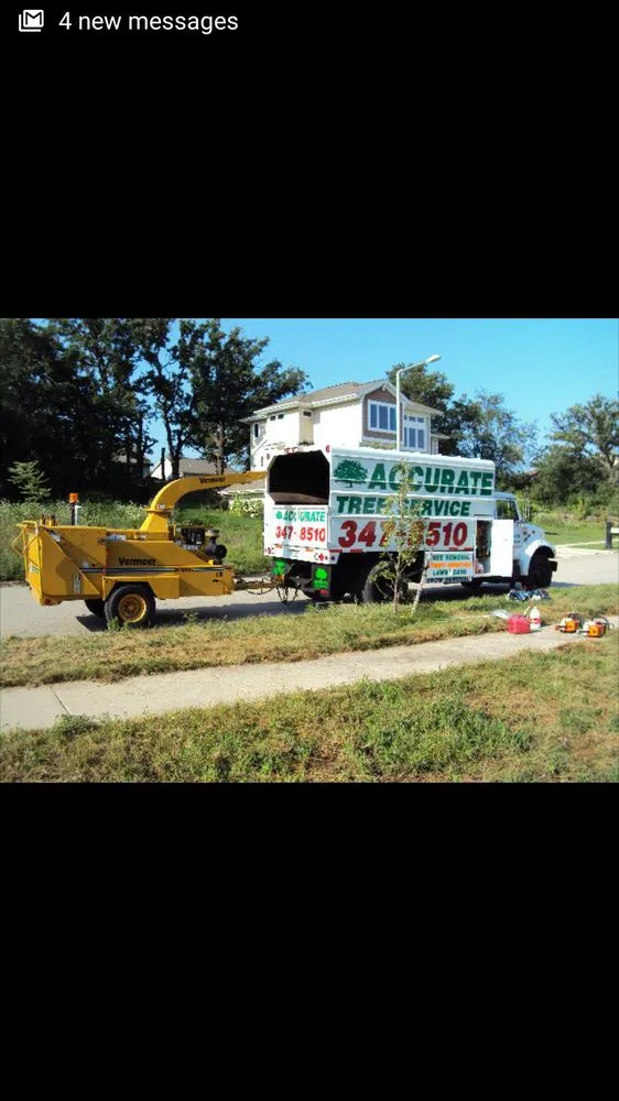 Reliable yard cleanup service in Verona, WI - Accurate Tree Service