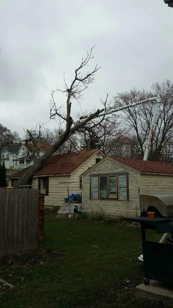 Professional residential landscaping for year-round maintenance across Verona, WI - Accurate Tree Service