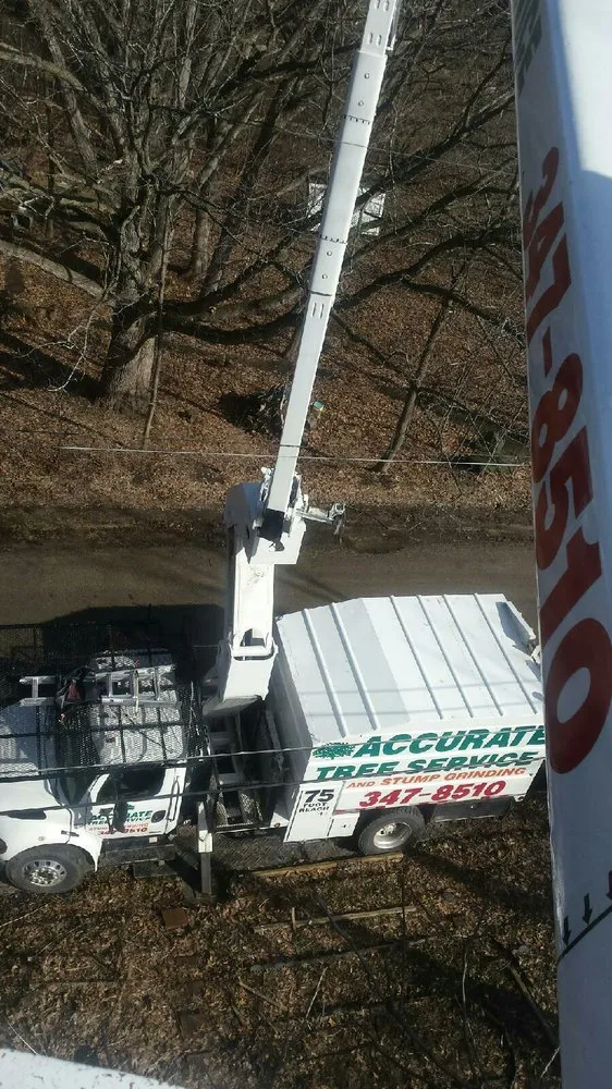 Expert yard cleanup service in Verona, WI by Accurate Tree Service