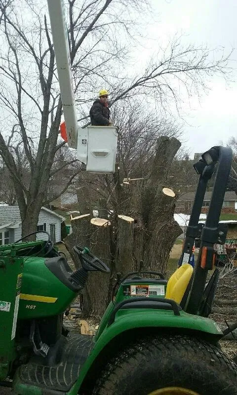 Expert lawn care service with custom design across Verona, WI - Accurate Tree Service