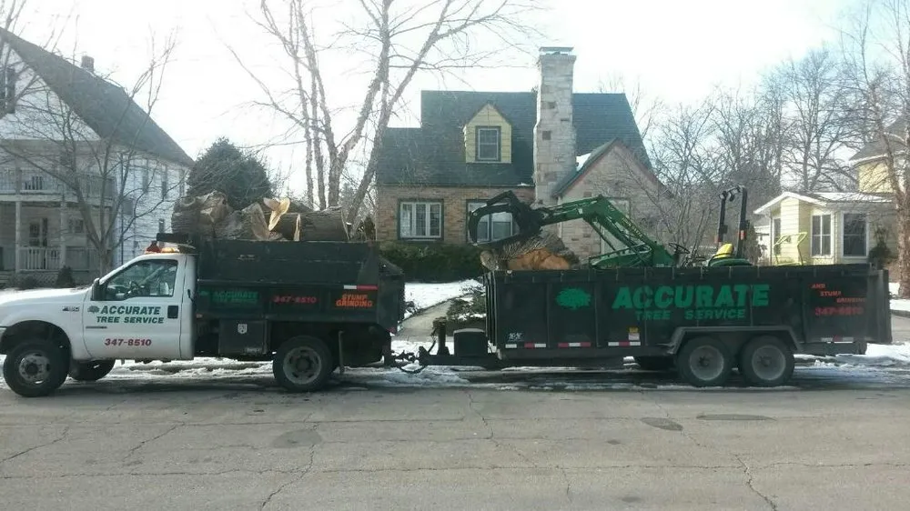 Top-rated lawn care service for year-round maintenance across Verona, WI - Accurate Tree Service
