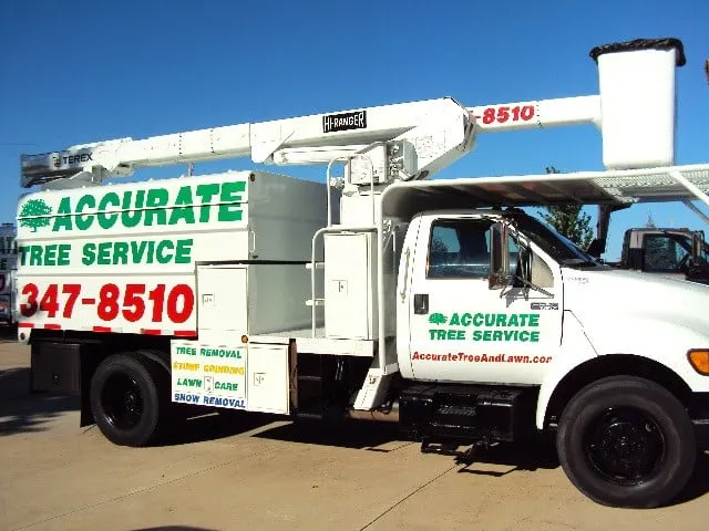 Local yard maintenance experts serving Verona, WI - Accurate Tree Service