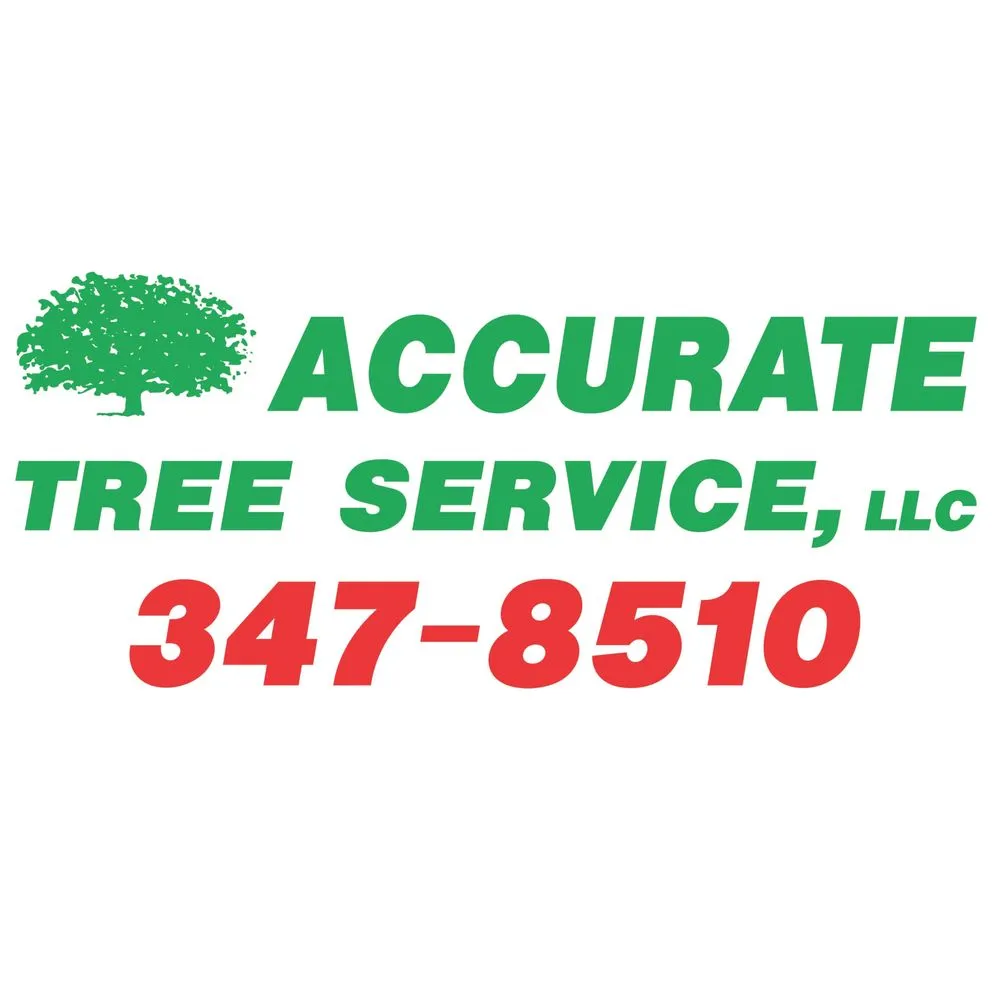 Reliable yard cleanup service in Verona, WI by Accurate Tree Service