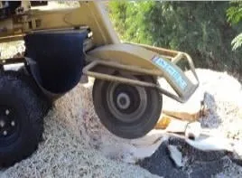 Local landscape design experts serving Verona, WI - Accurate Tree Service