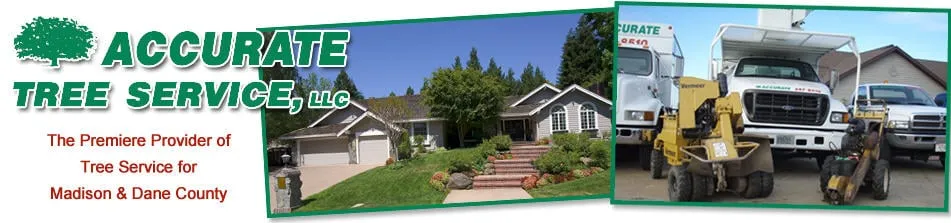 Custom landscape installation experts serving Verona, WI - Accurate Tree Service