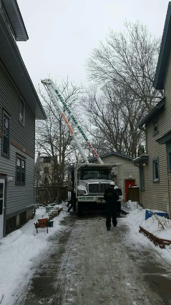 Custom garden landscaping in Verona, WI by Accurate Tree Service