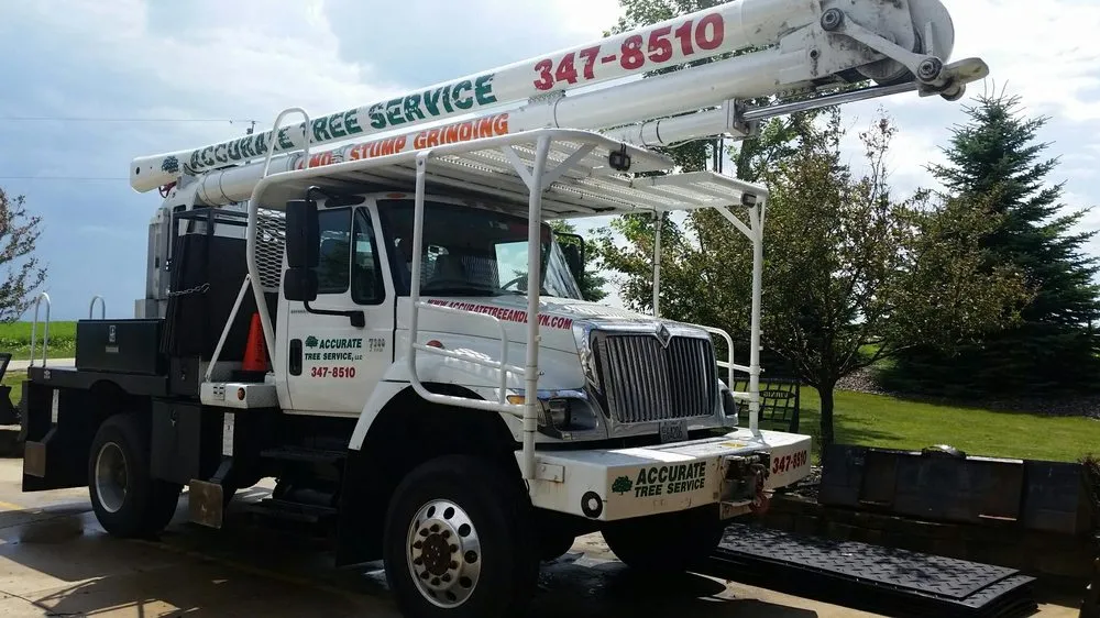 Expert yard cleanup service in Verona, WI by Accurate Tree Service