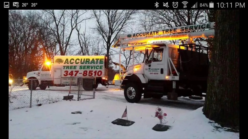 Professional landscaping services experts serving Verona, WI - Accurate Tree Service