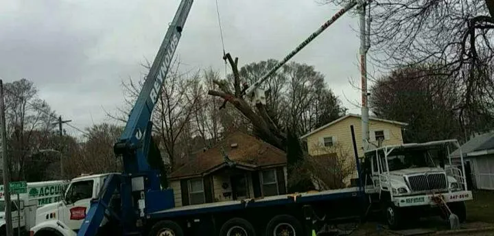 Custom landscaping services in Verona, WI - Accurate Tree Service