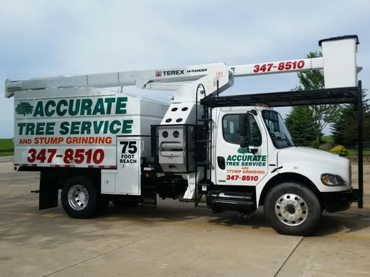 Accurate Tree Service Logo