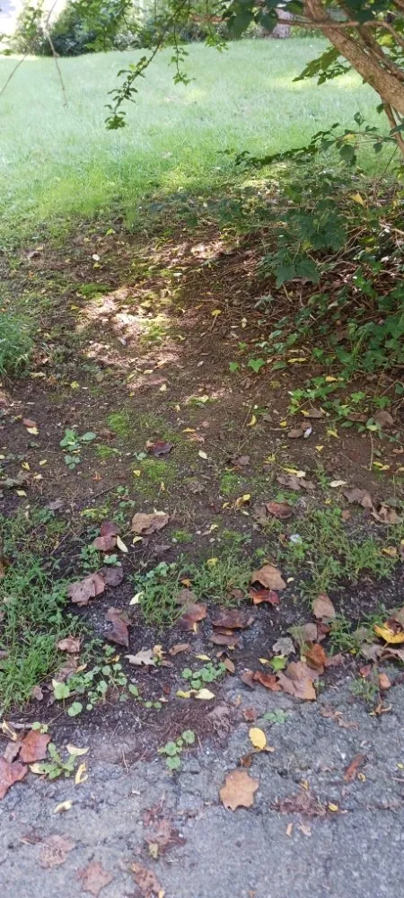 Custom outdoor landscaping in Martinsburg, WV - Ace & Axle Landscaping
