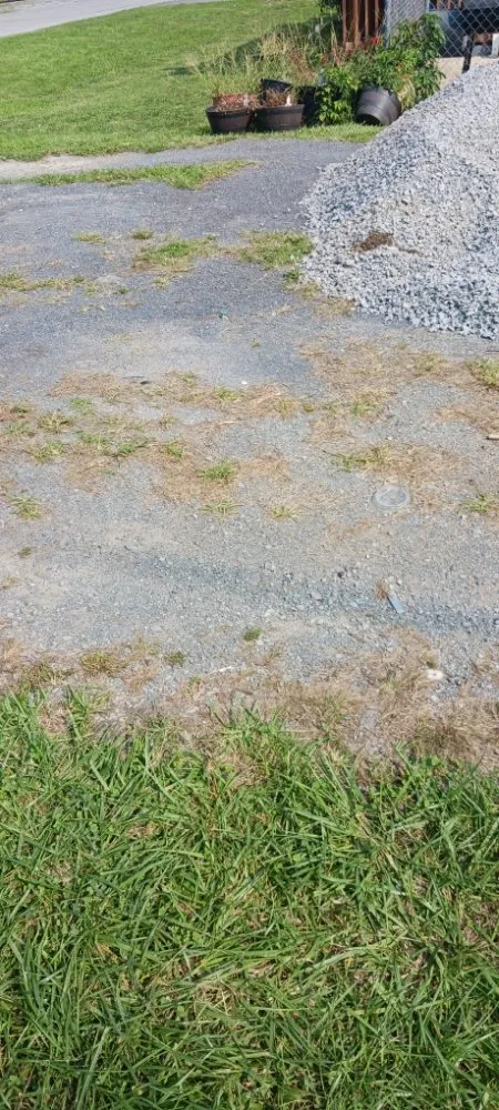 Affordable residential landscaping in Martinsburg, WV by Ace & Axle Landscaping