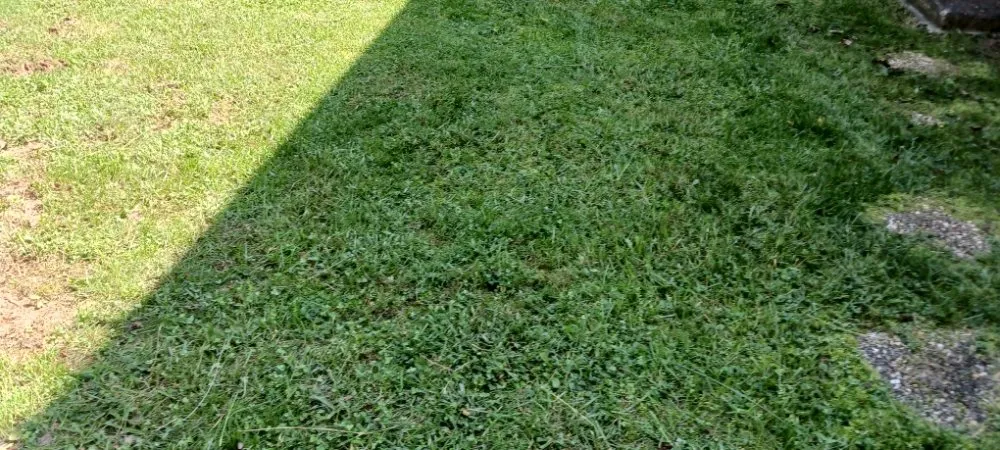 Expert landscape design in Martinsburg, WV - Ace & Axle Landscaping