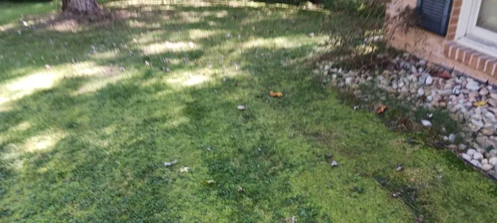 Custom lawn care service experts serving Martinsburg, WV - Ace & Axle Landscaping