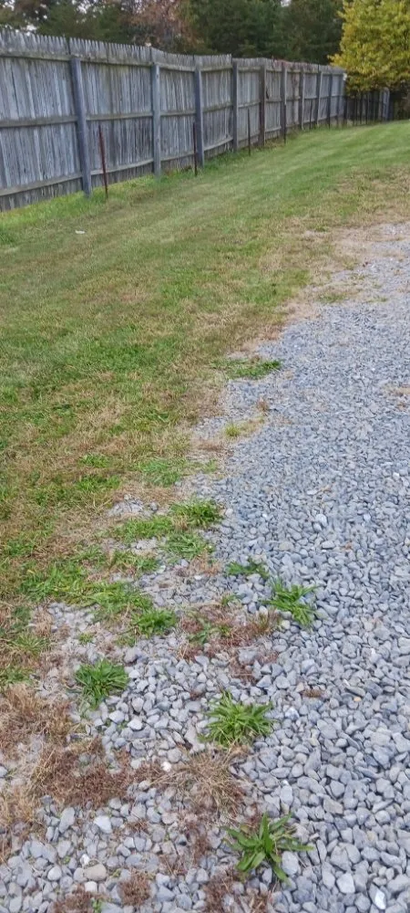 Top-rated landscaping services for homes in Martinsburg, WV by Ace & Axle Landscaping
