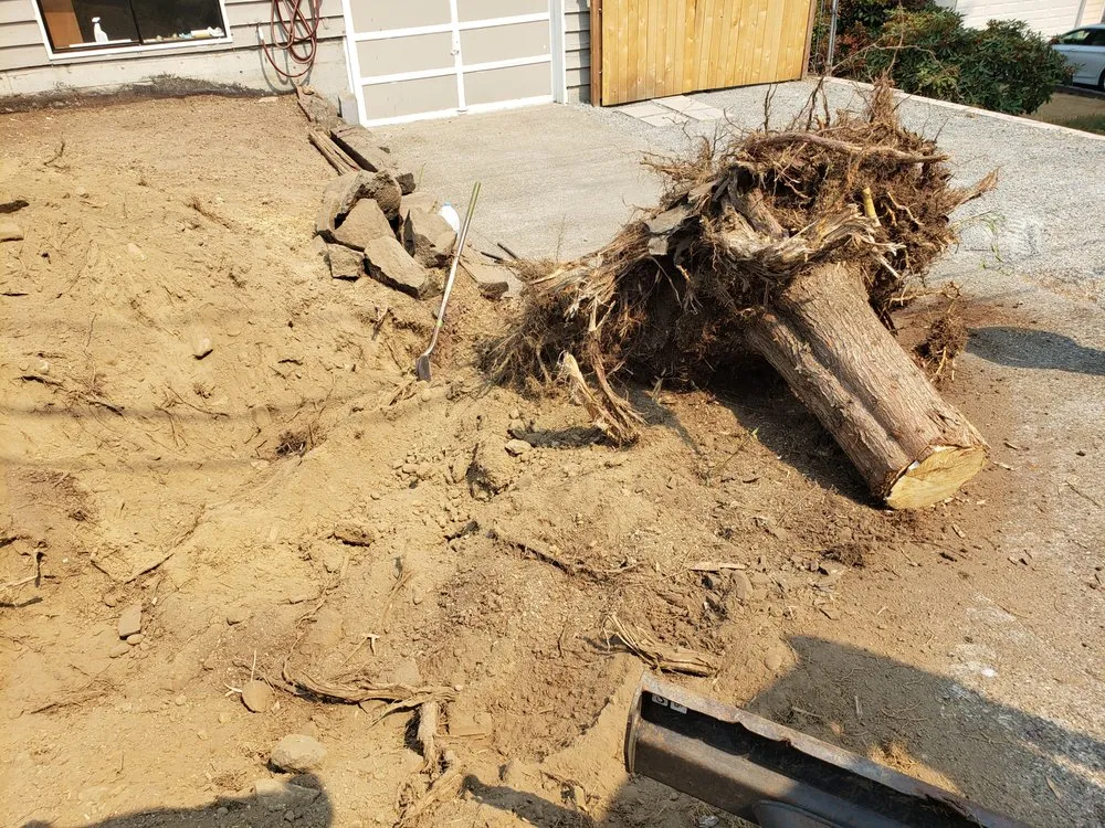 Expert lawn care service for residential properties in Seattle, WA by Ace 1 Construction & Landscaping