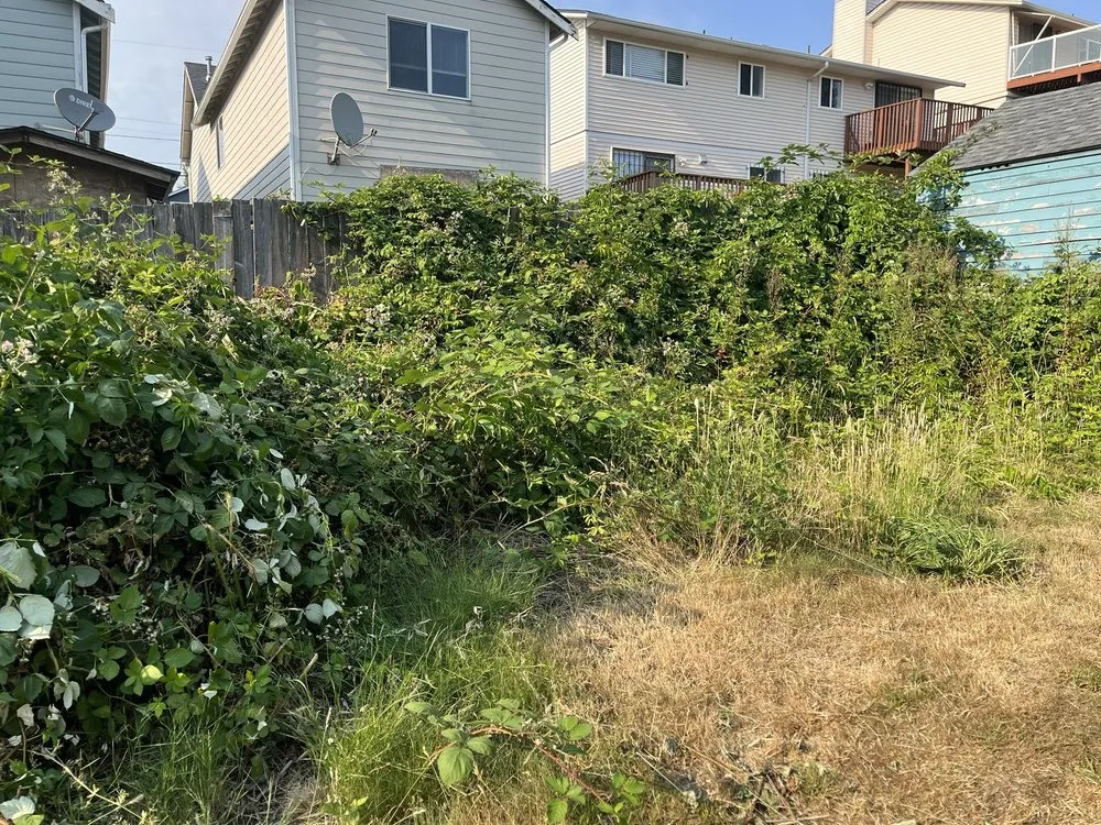 Professional outdoor landscaping for beautiful yards across Seattle, WA - Ace 1 Construction & Landscaping