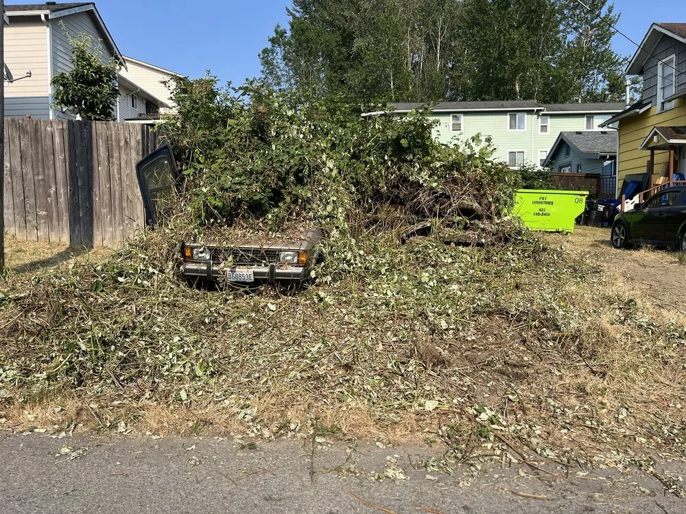 Affordable yard maintenance for beautiful yards in Seattle, WA by Ace 1 Construction & Landscaping