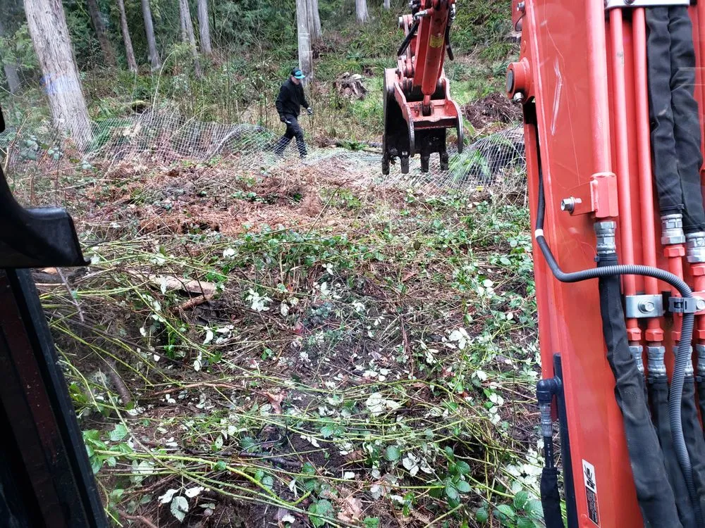 Top-rated outdoor landscaping for outdoor upgrades in Seattle, WA by Ace 1 Construction & Landscaping