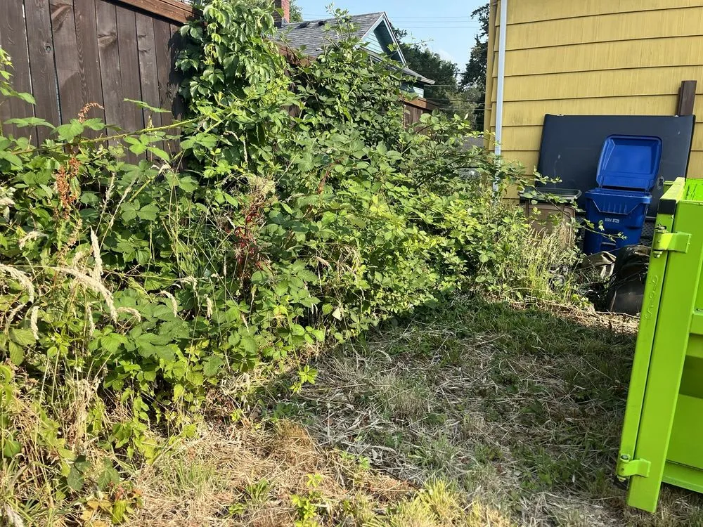 Reliable residential landscaping for residential properties in Seattle, WA by Ace 1 Construction & Landscaping